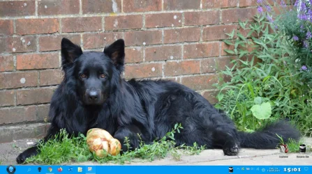 Screenshot 2022-02-24 150145.webp